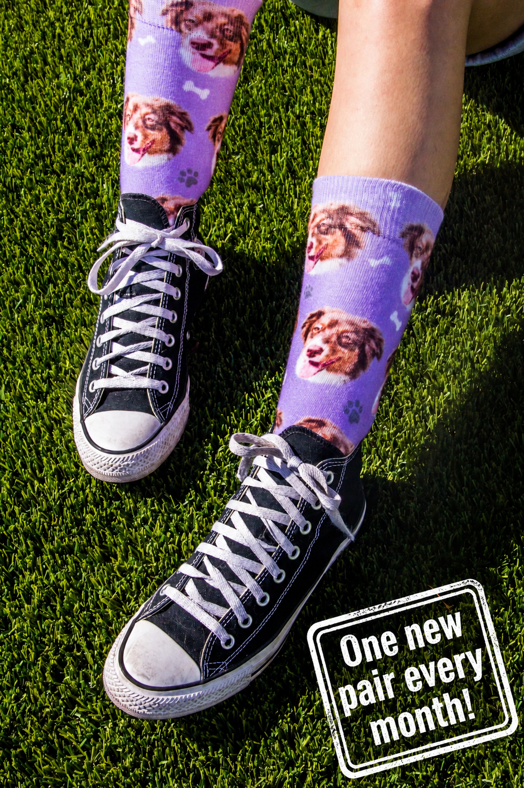 Sock Subscription