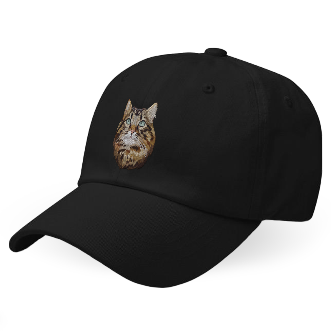 Custom Cat Hat