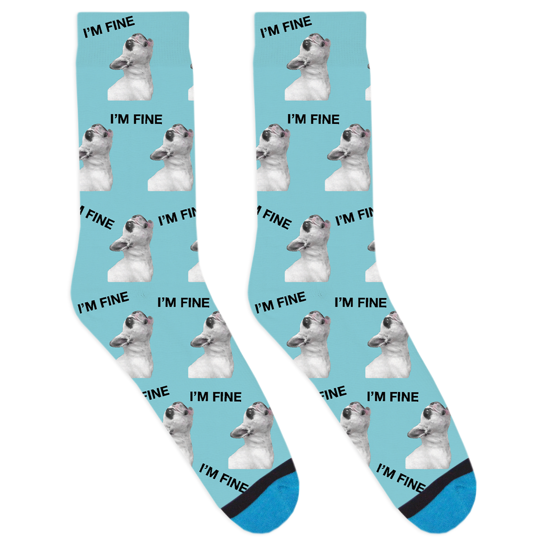 Walter Geoffrey I'm Fine Socks