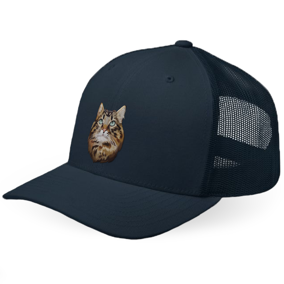 Custom Cat Hat