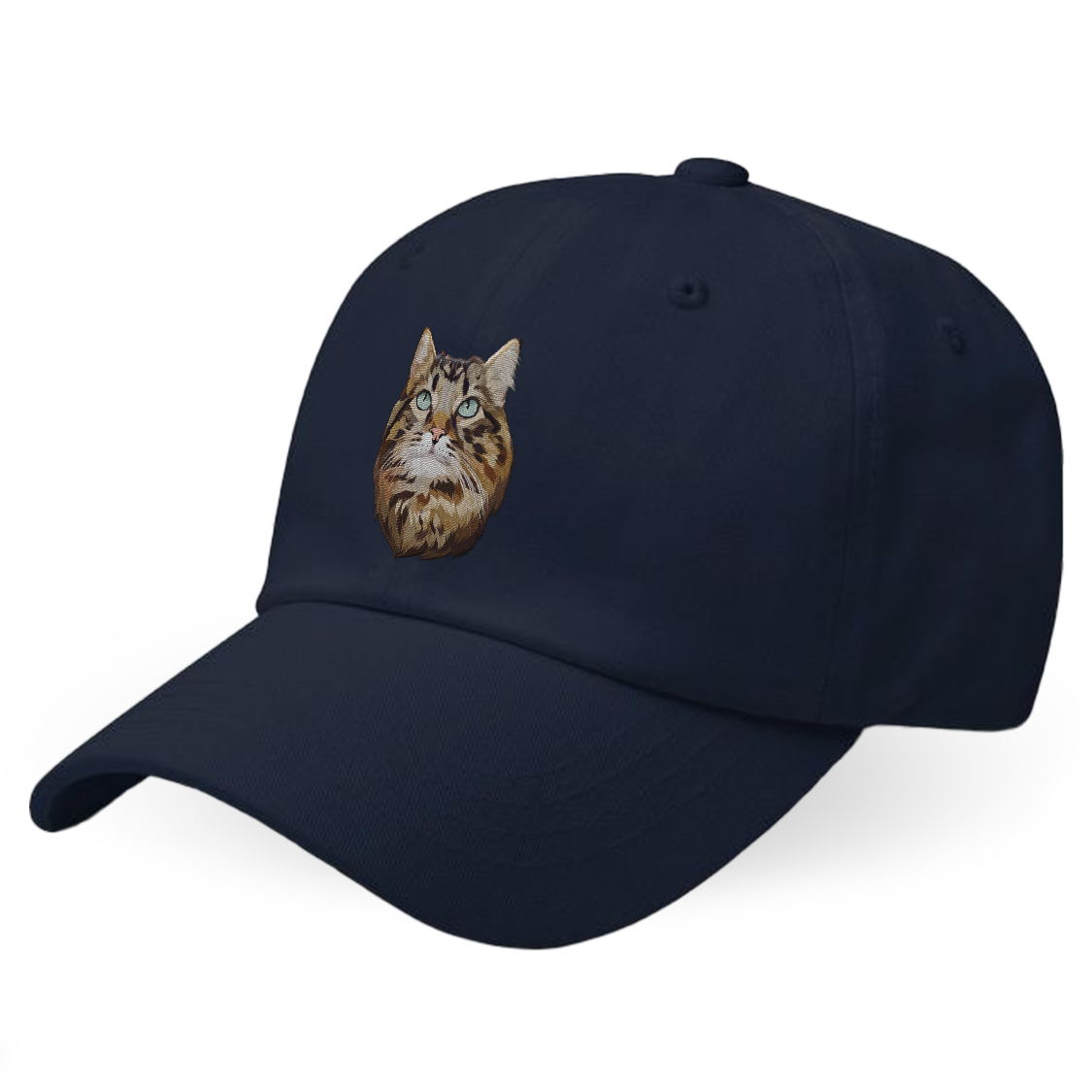 Custom Cat Hat