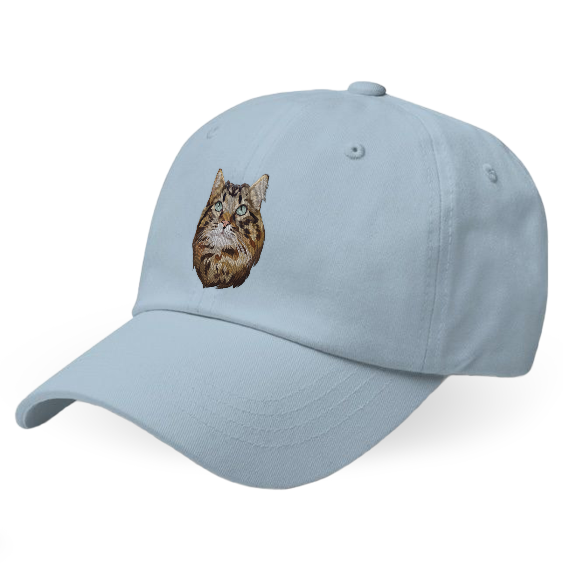 Custom Cat Hat