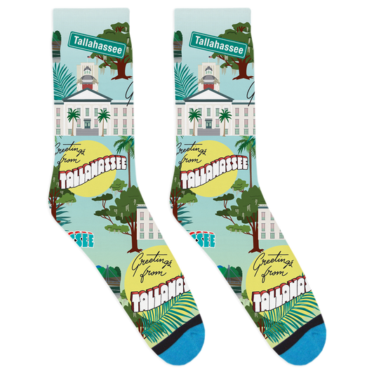 Tallahassee Landmark Socks