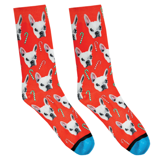 Walter Geoffrey the Frenchie Holiday Socks