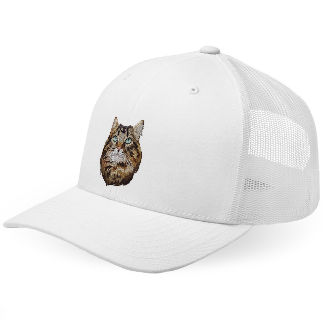 Custom Cat Hat