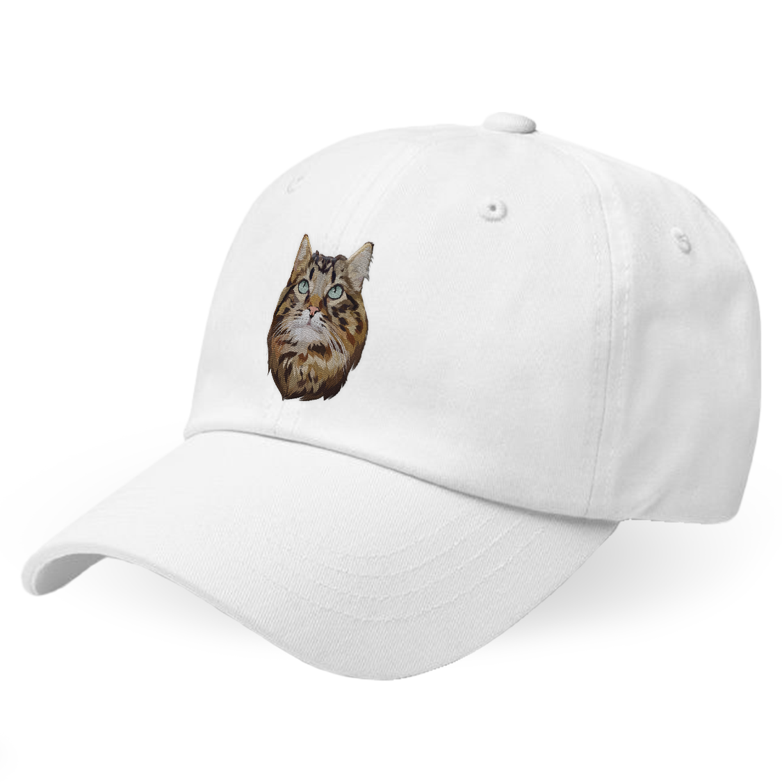 Custom Cat Hat