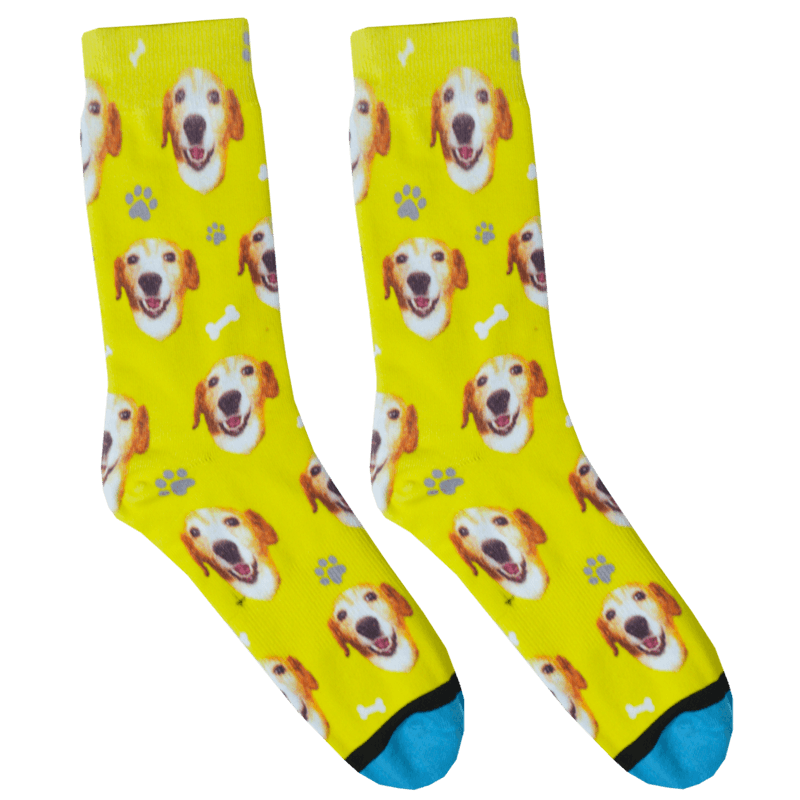 Custom Guy Harvey Test Socks