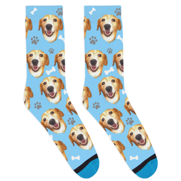 Custom Dog Socks | DivvyUp