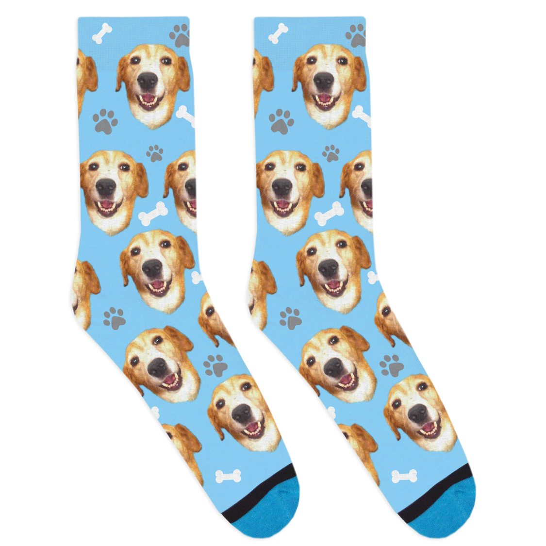 Custom Dog Socks Divvyup