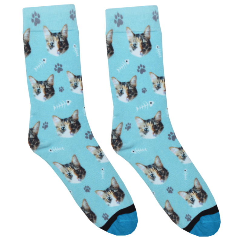 Blue-Cat-800x800