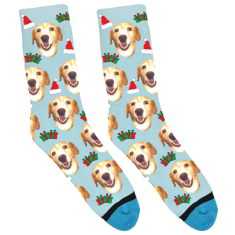 dog-present-santa-hat-blue2