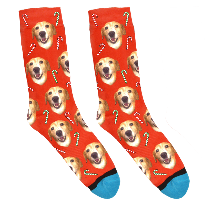 dog candy cane red