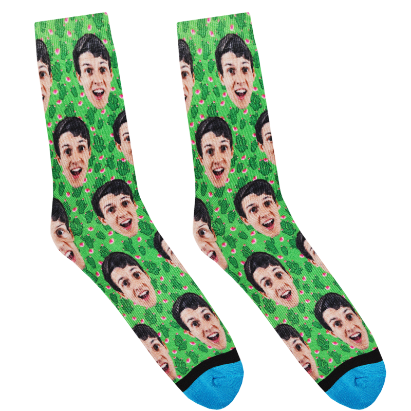 Cacti