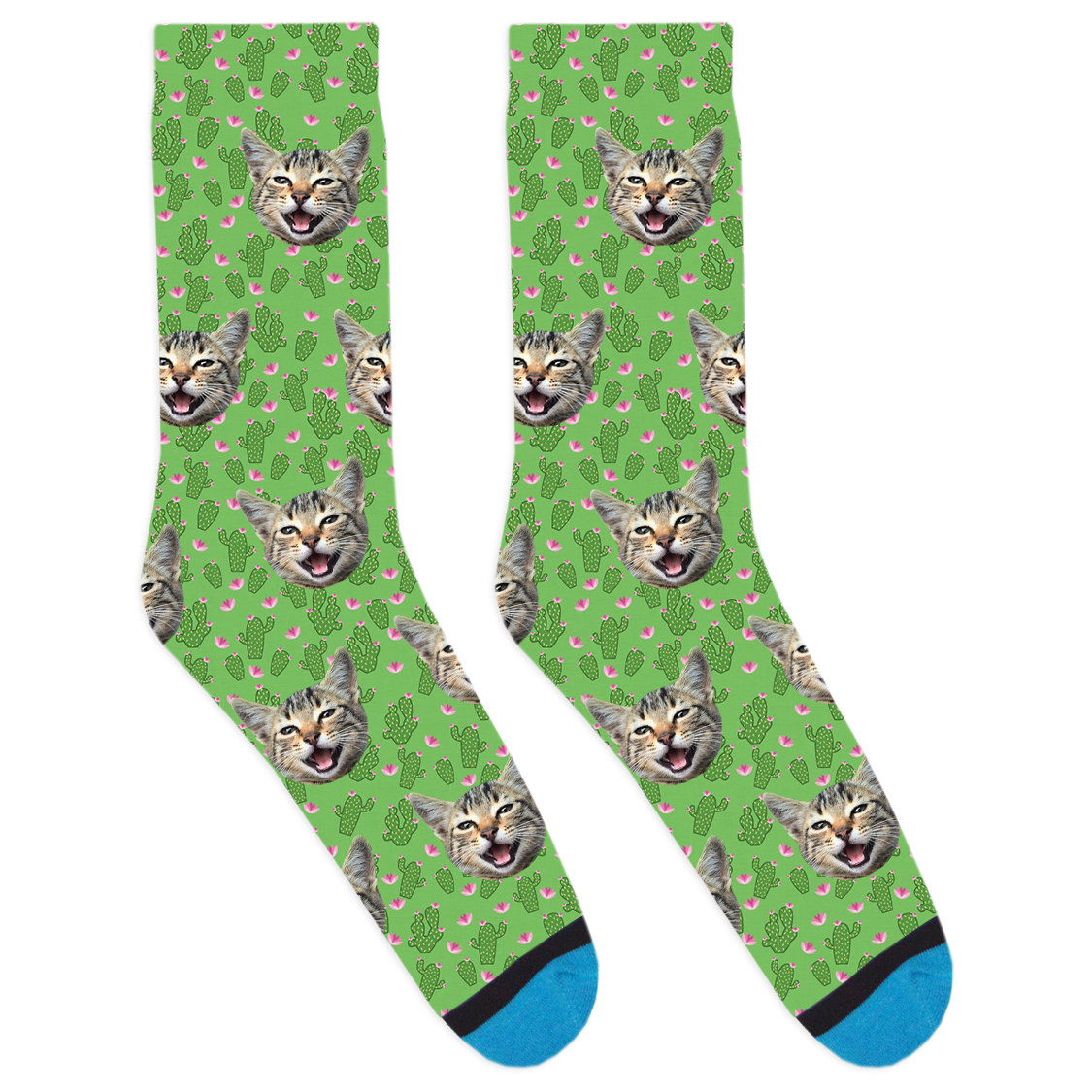 Cacti-Socks