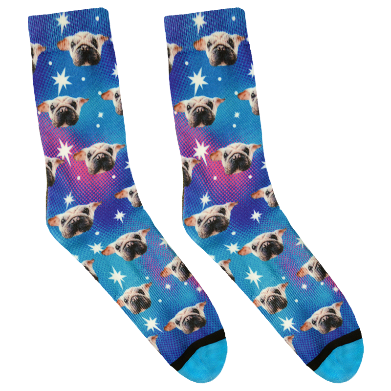 Galaxy Dog PI