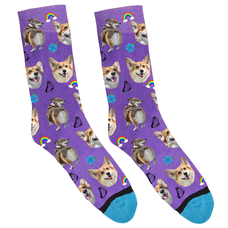 corgizero_PI