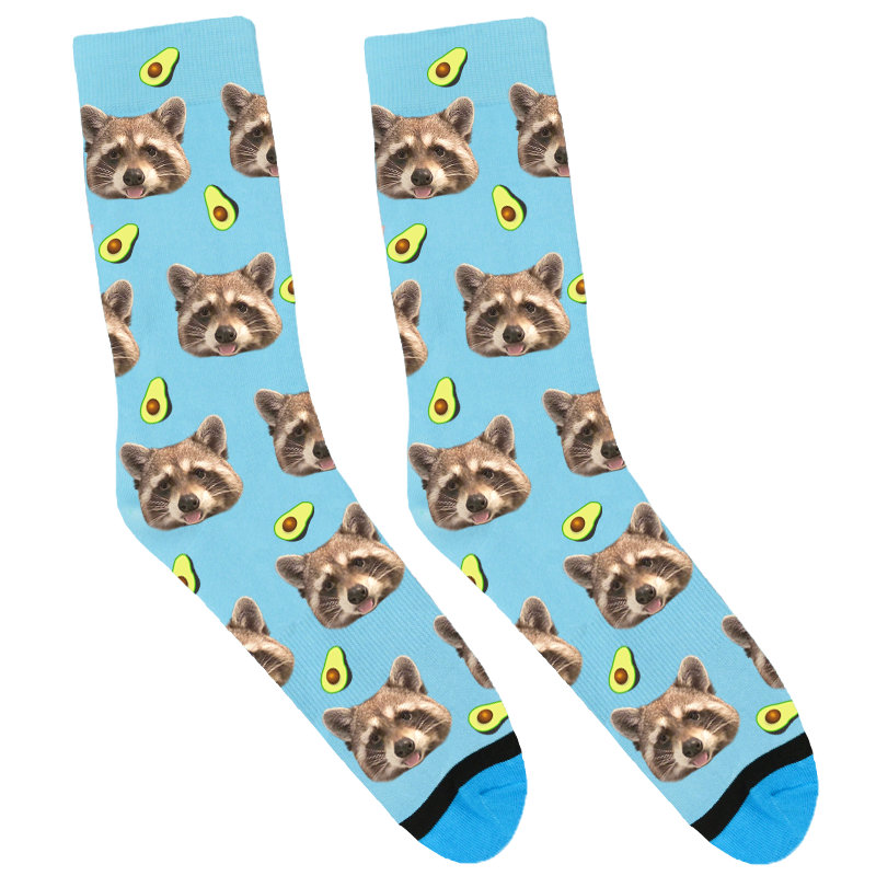 rocketdaracoon_PI