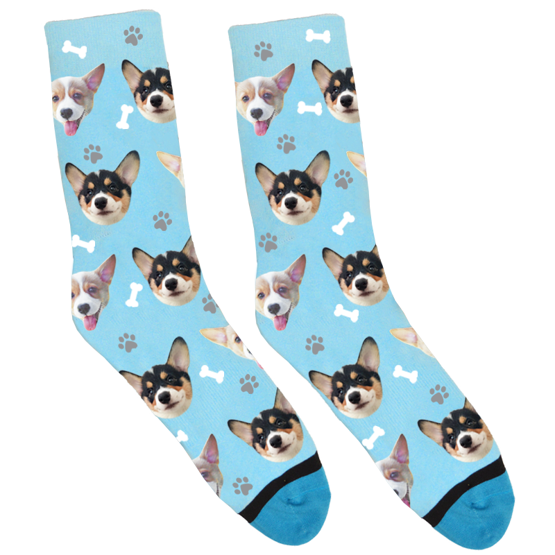 weslythecorgi_PI