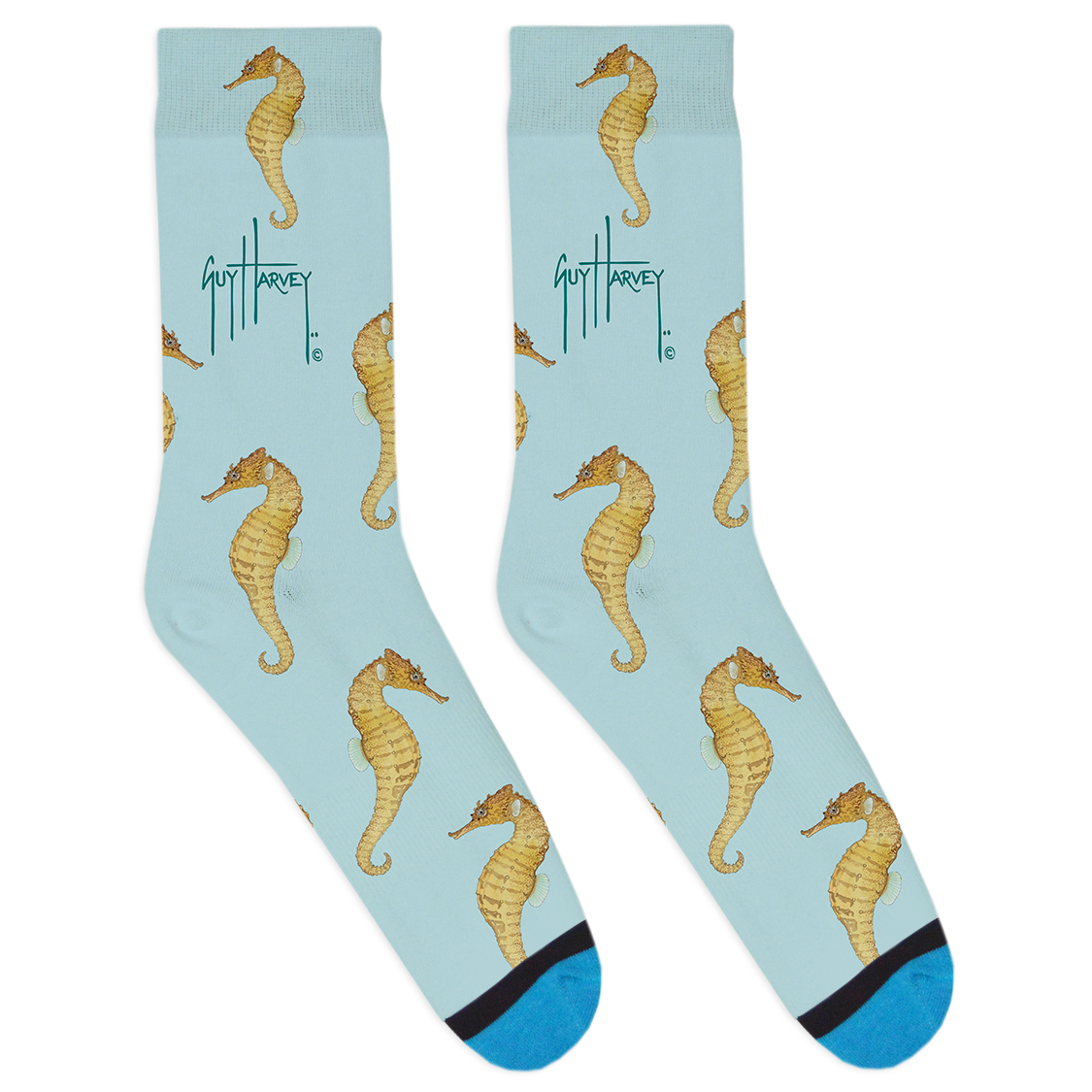 2Updated Seahorse-01