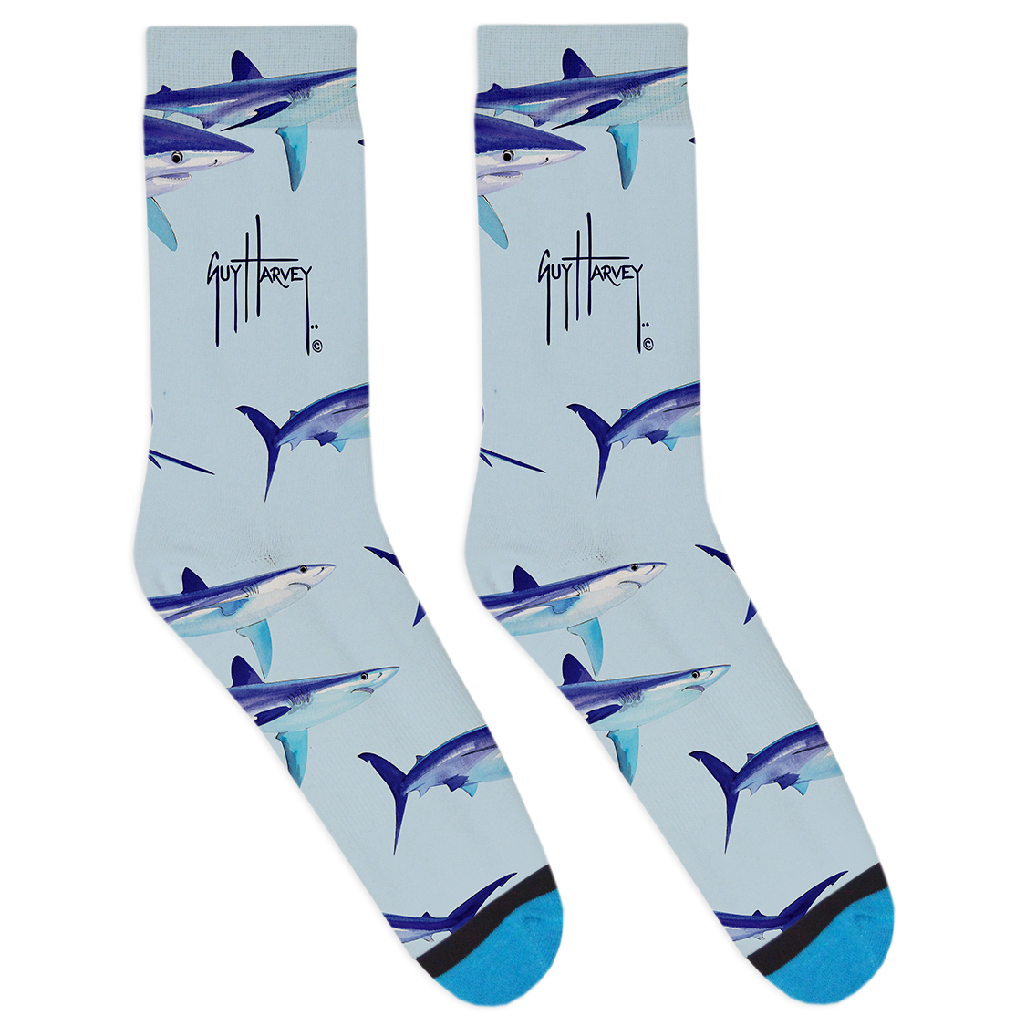 2Updated Shark-01