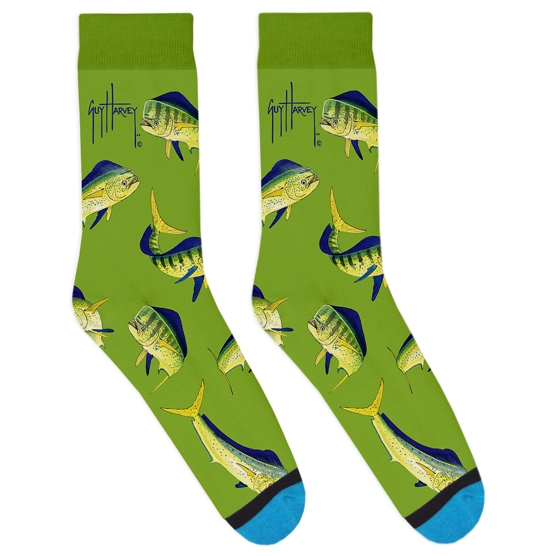 GH_Large_Mahi-01