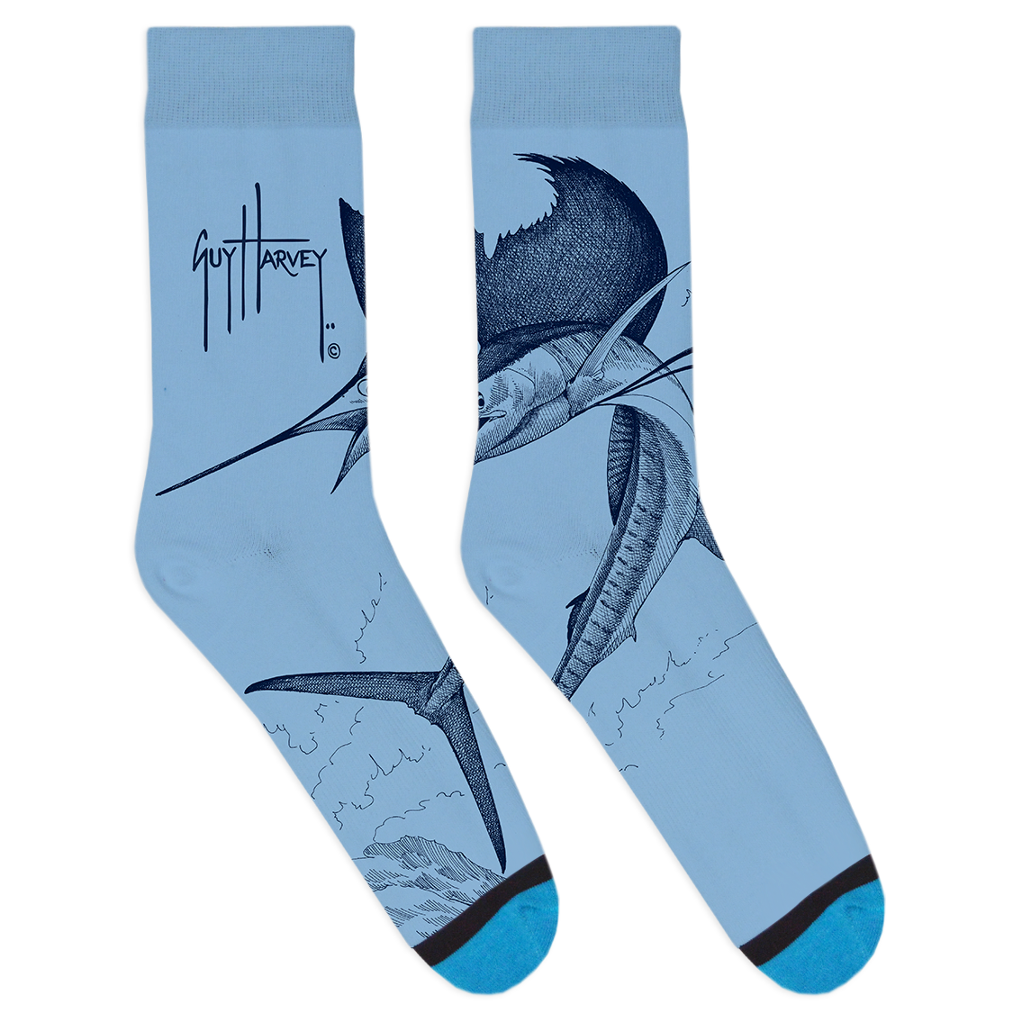 Sailfish-01