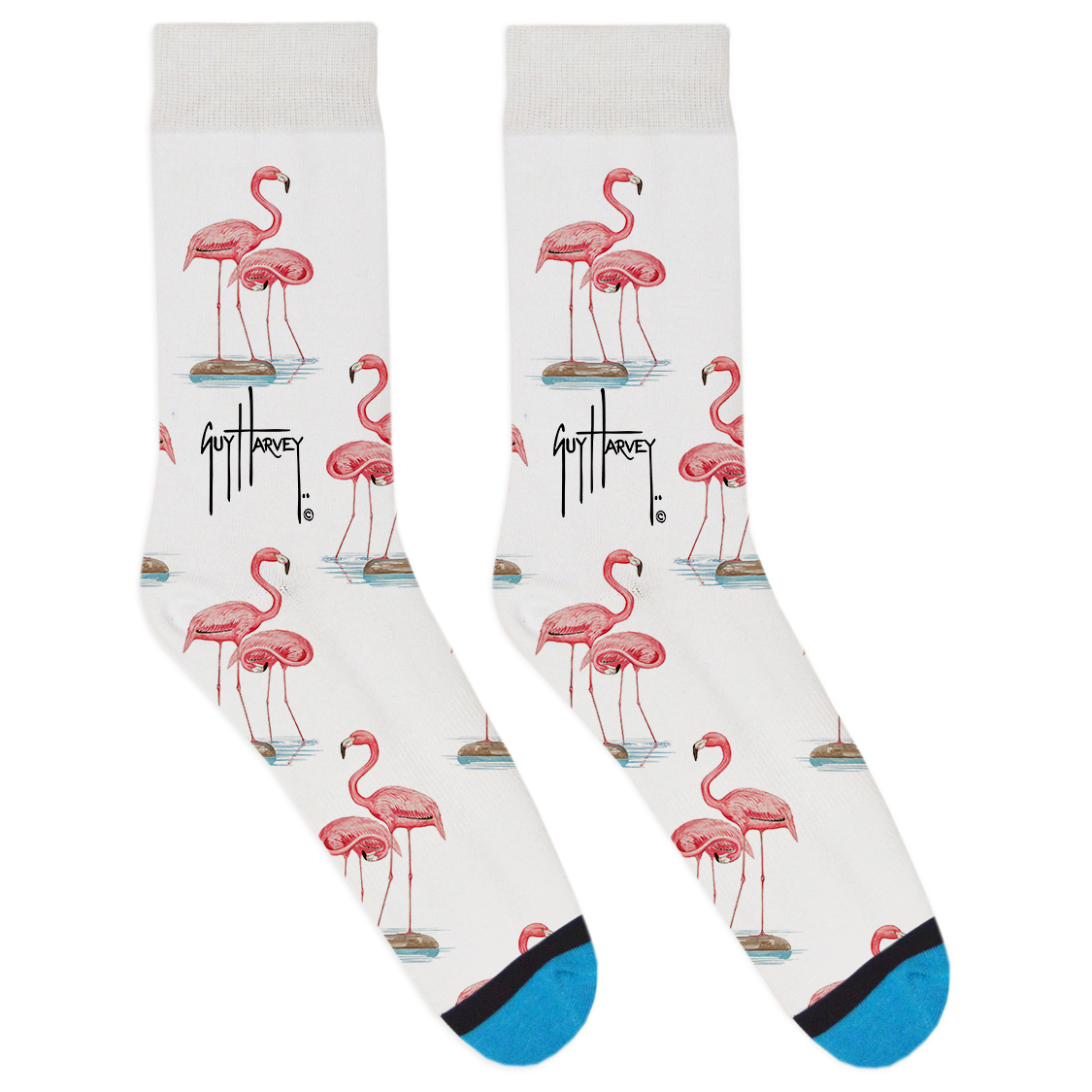 Updated Flamingo-01