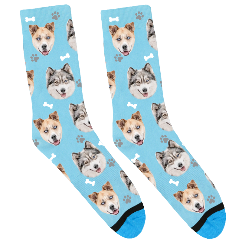 pupfrankie