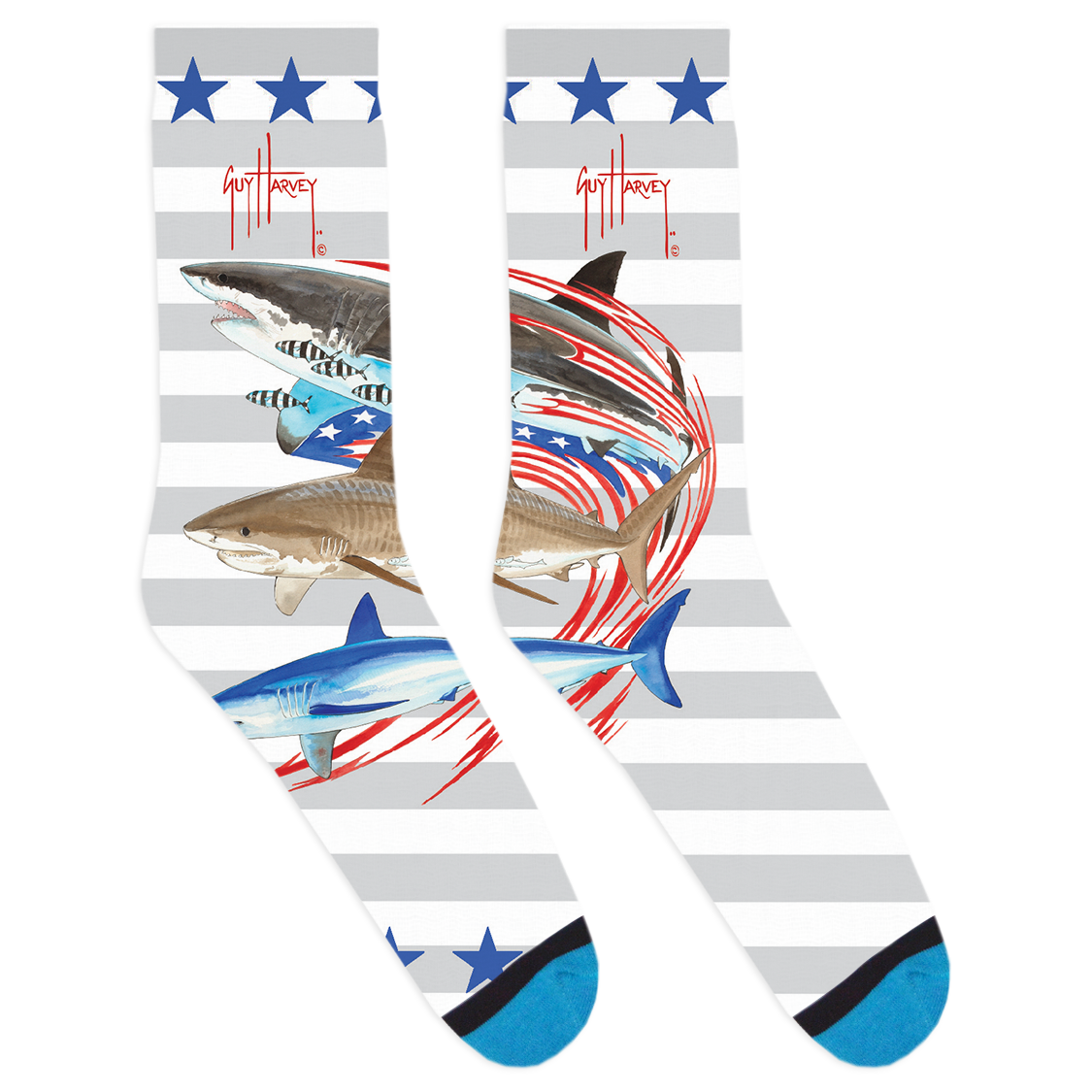American-Sailfish-Large-3-01-01