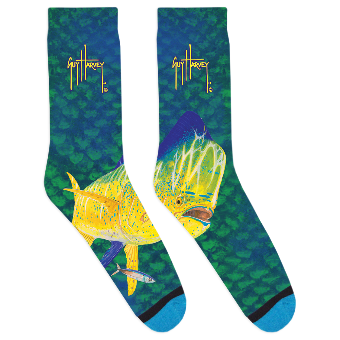 Mahi-Large-2-01