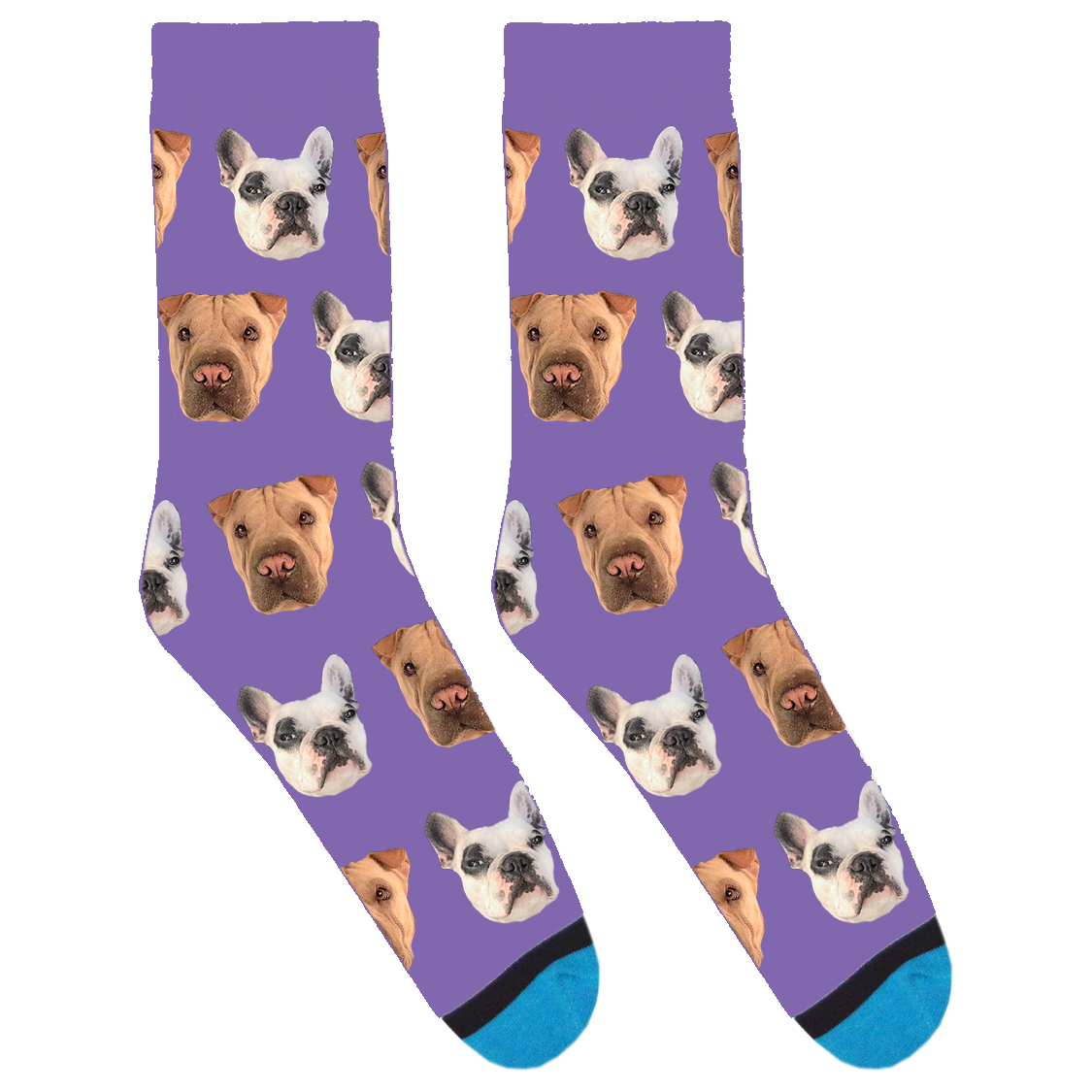 Walter and Maddy Socks PI