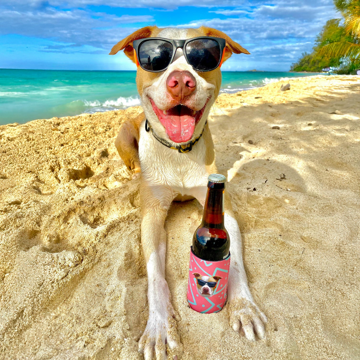 Custom Can Coolers