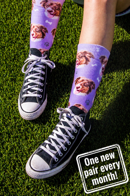 Sock Subscription