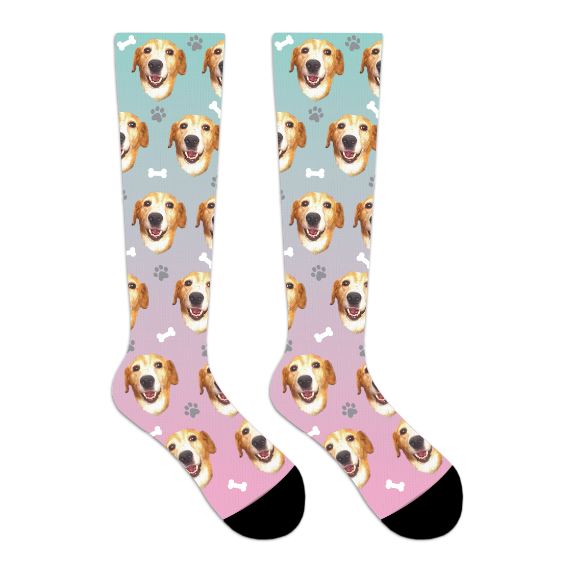 Custom Dog Socks