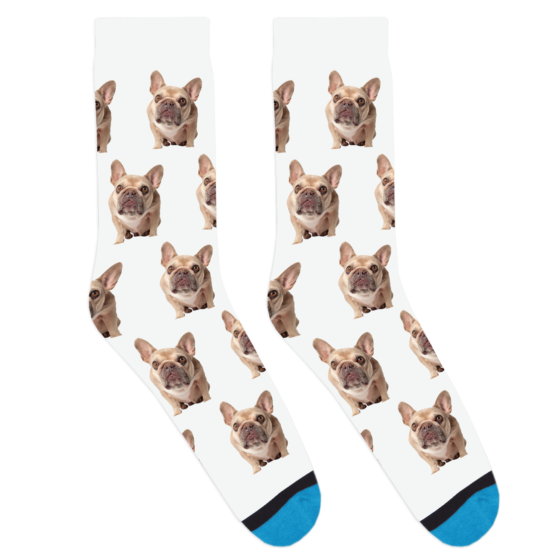 Charlotte Portrait Socks