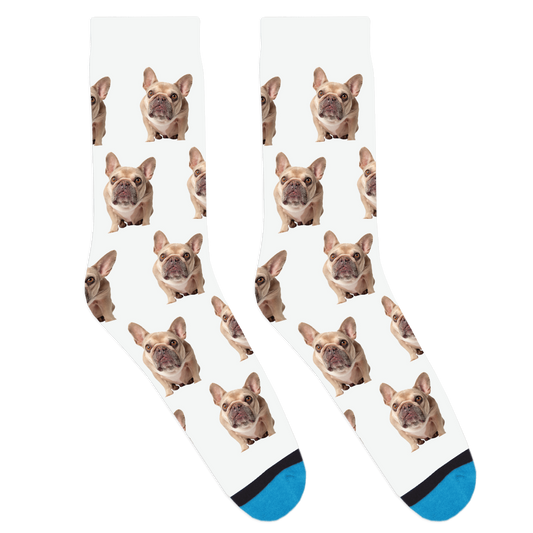 Charlotte Portrait Socks