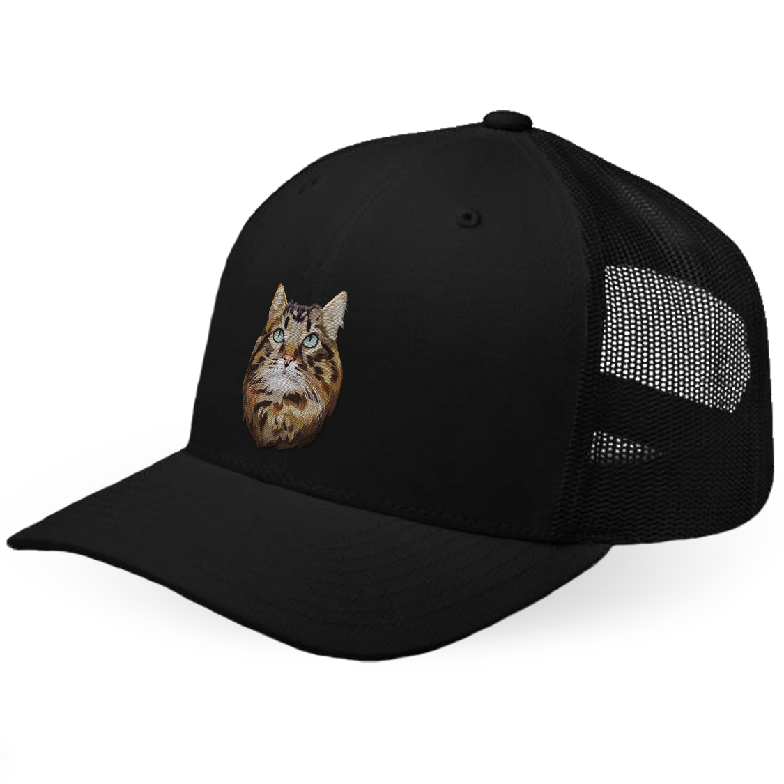 Custom Cat Hat