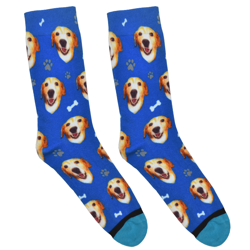 Custom Guy Harvey Test Socks