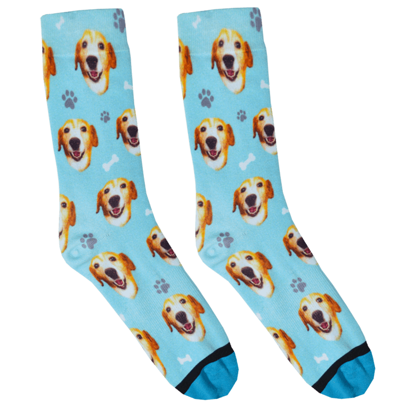 Custom Guy Harvey Test Socks