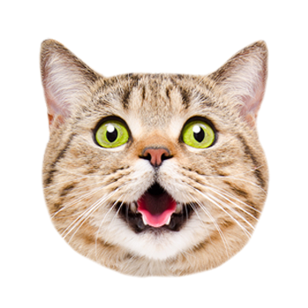 The Best Custom Face Stickers – DivvyUp