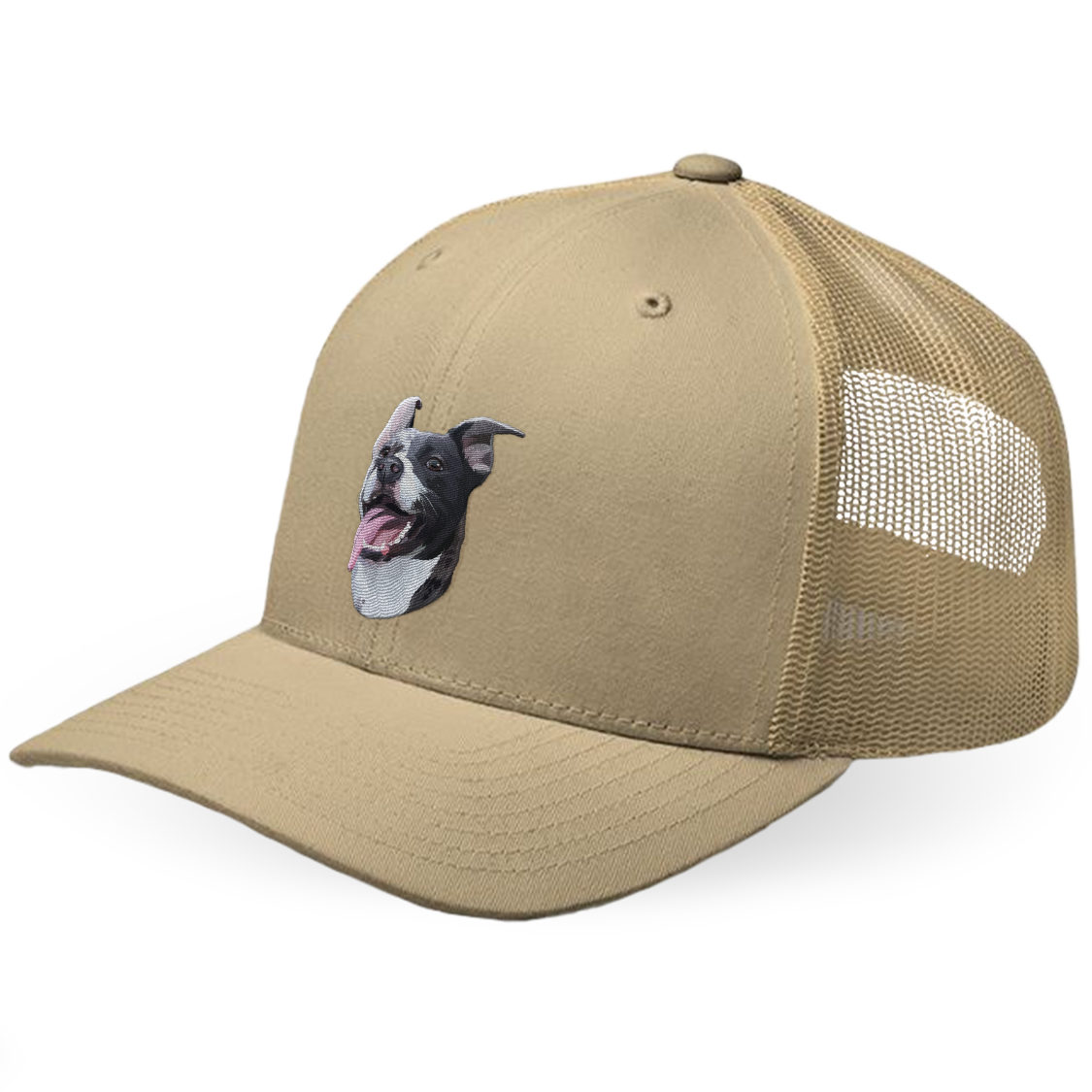 Custom Dog Hat