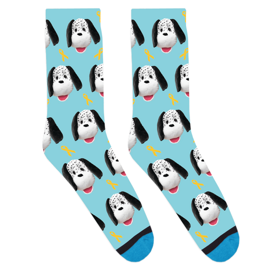 Custom DanceBlue Socks 2023