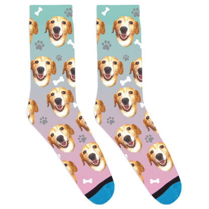 Custom Dog Socks
