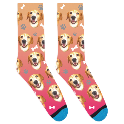 Custom Dog Socks