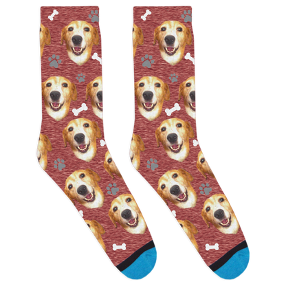 Custom Dog Socks