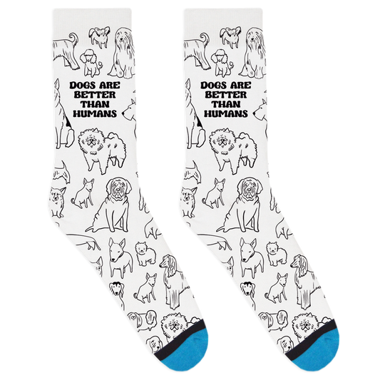 Dogs Are Better Than Humans Socks
