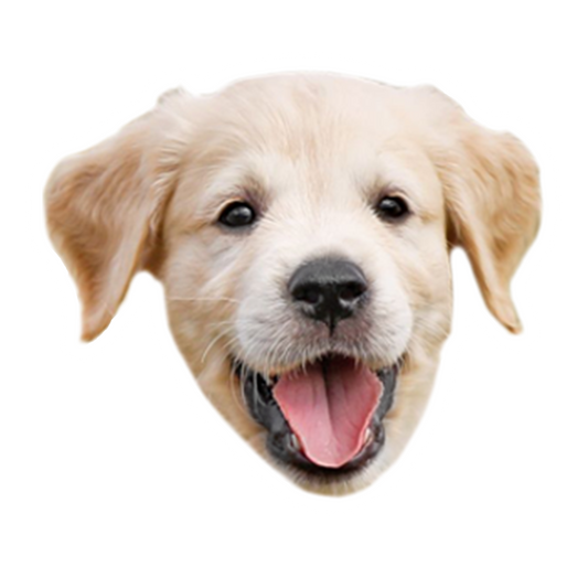 Custom Static Cling Die Cut