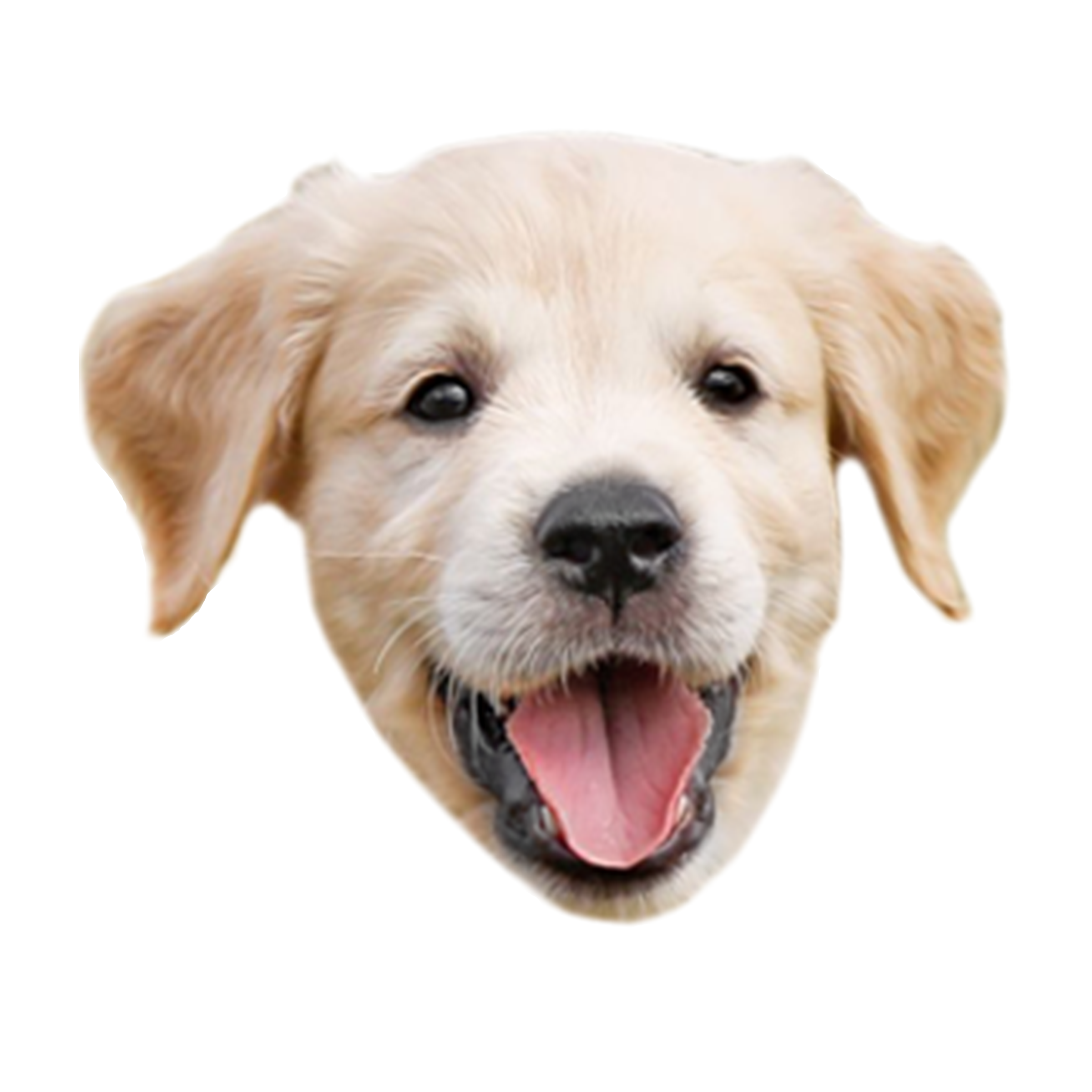 The Best Custom Face Stickers – DivvyUp