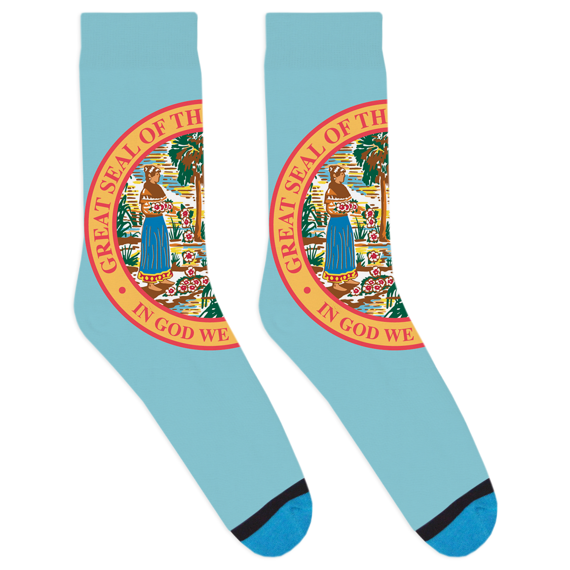 Florida Seal Socks