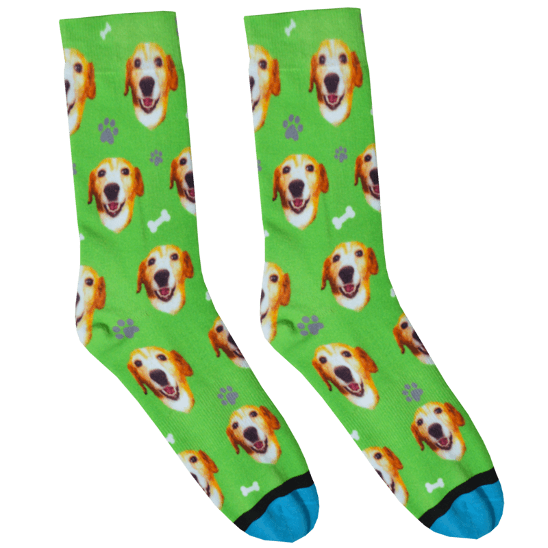 Custom Guy Harvey Test Socks